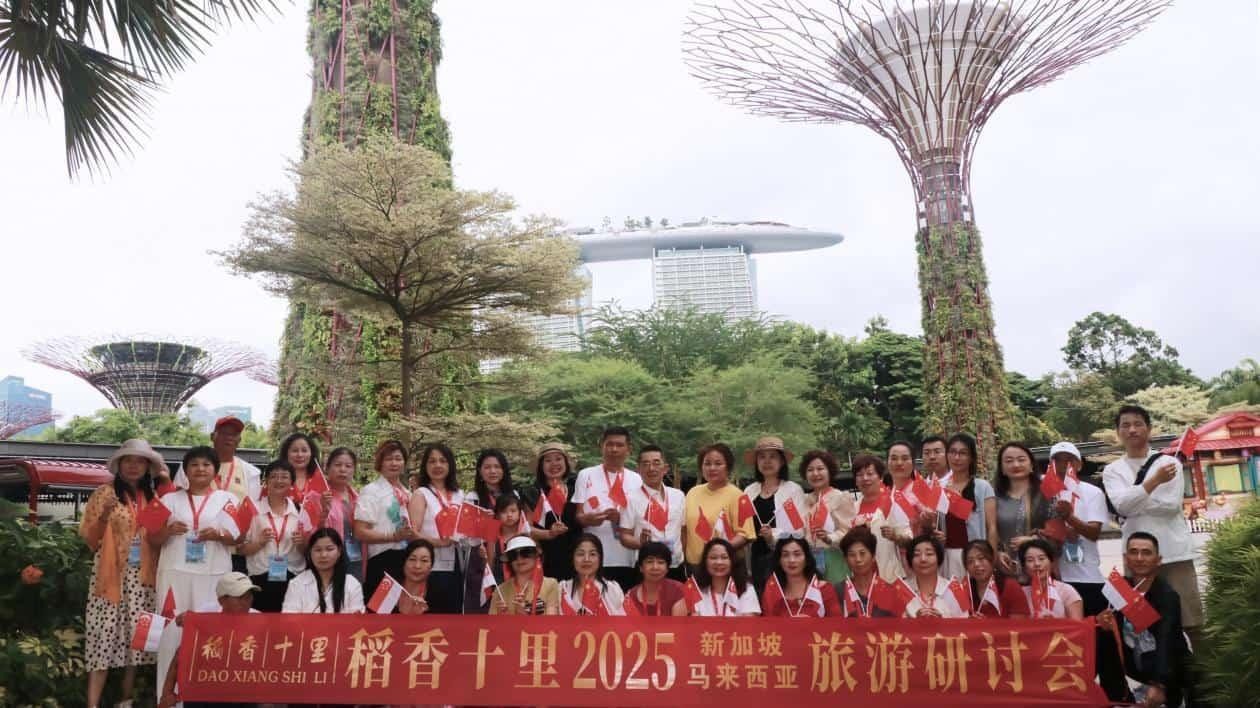 图片 4
